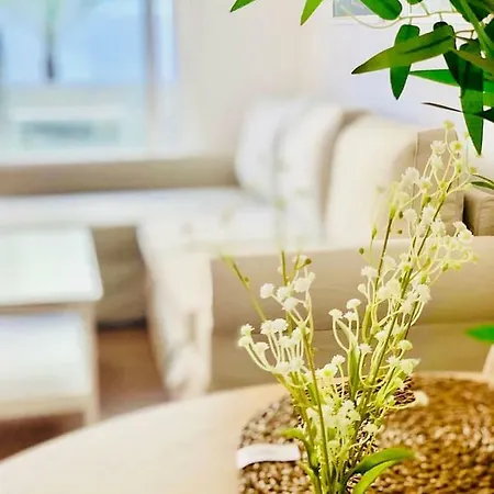 Lions House Apartment Corralejo